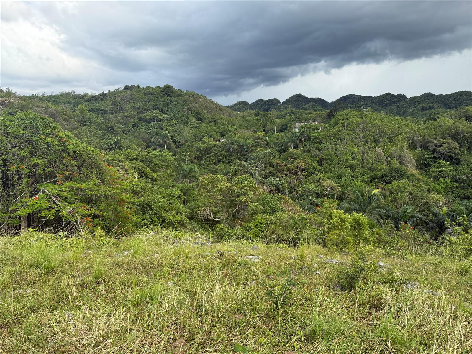 Pr 6684 Buena Vista Km Hm 2.5 Property Photo 5