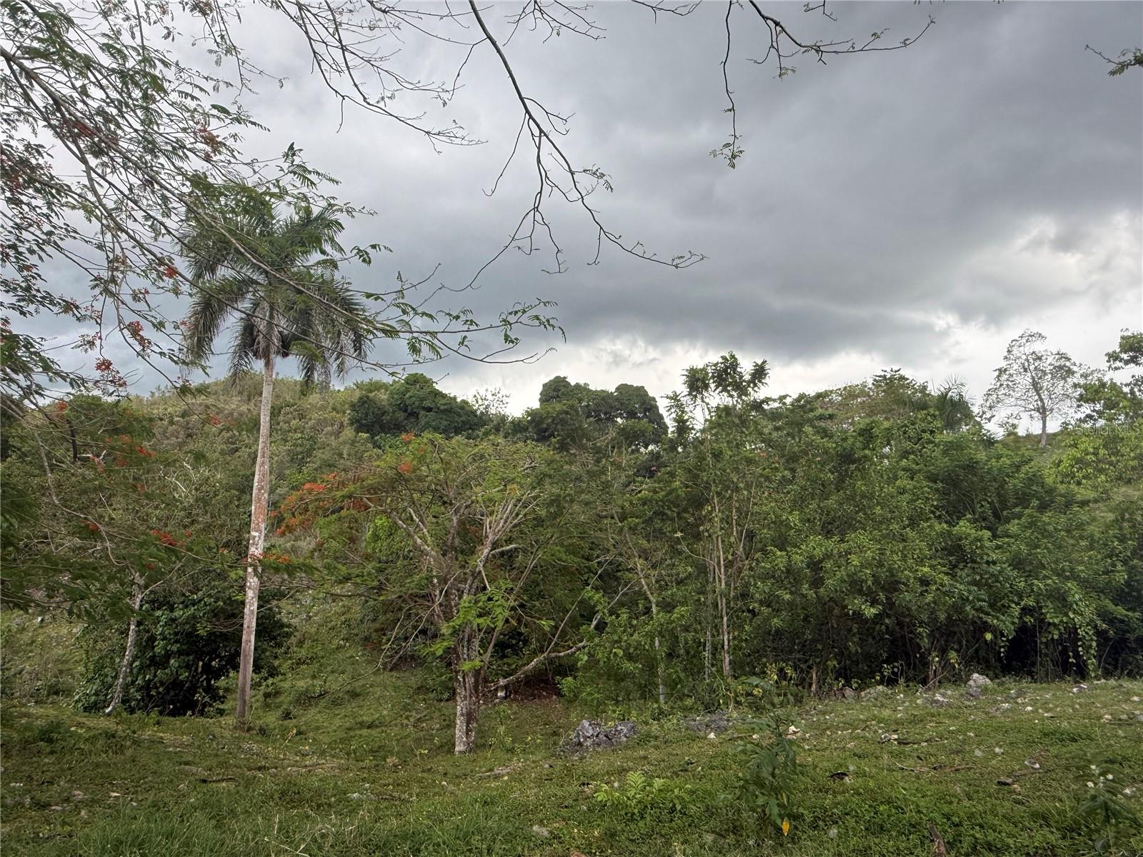 Pr 6684 Buena Vista Km Hm 2.5 Property Photo 6