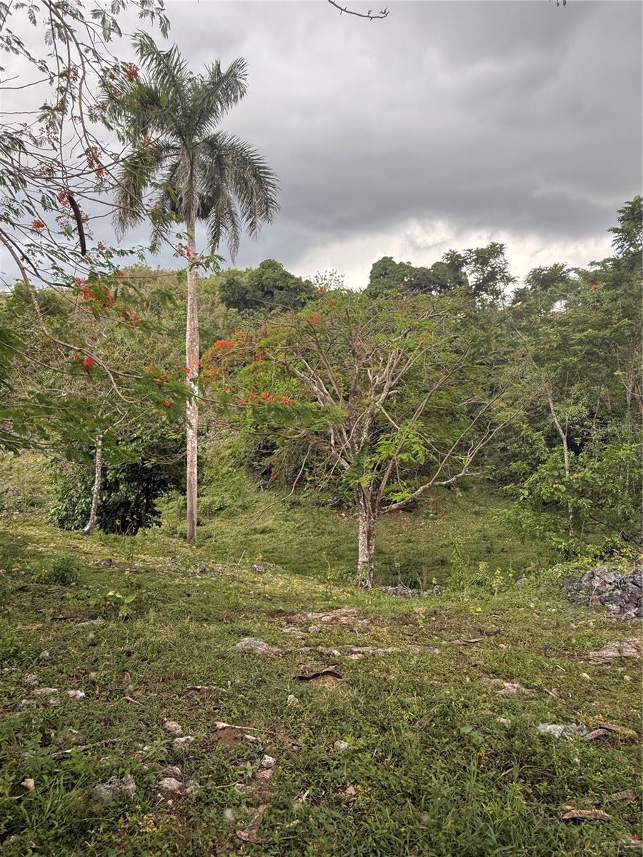 Pr 6684 Buena Vista Km Hm 2.5 Property Photo 7