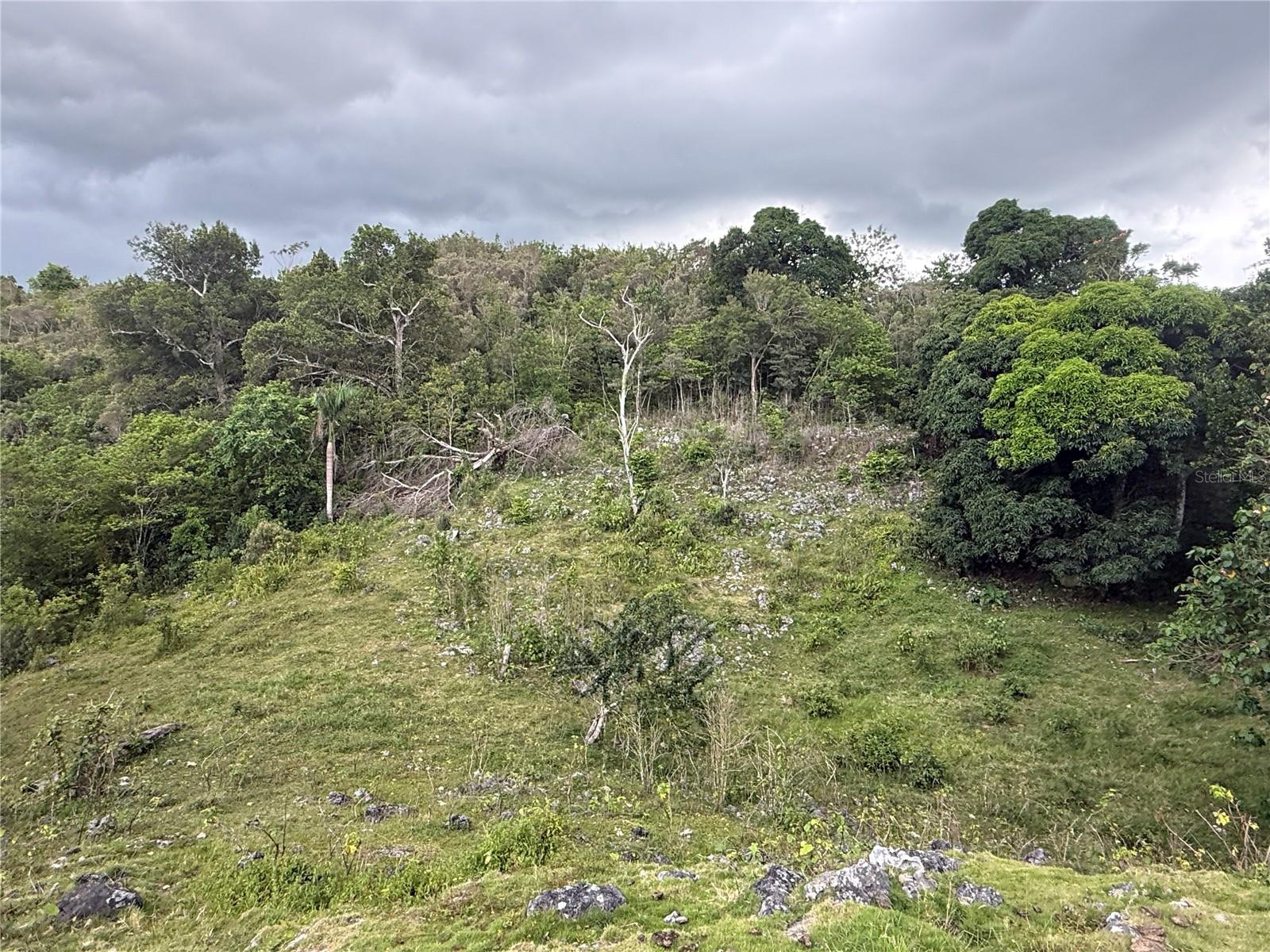 Pr 6684 Buena Vista Km Hm 2.5 Property Photo 9