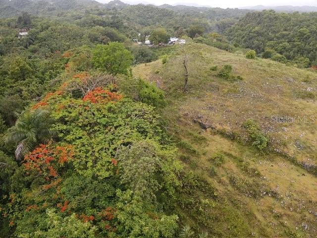 Pr 6684 Buena Vista Km Hm 2.5 Property Photo 10