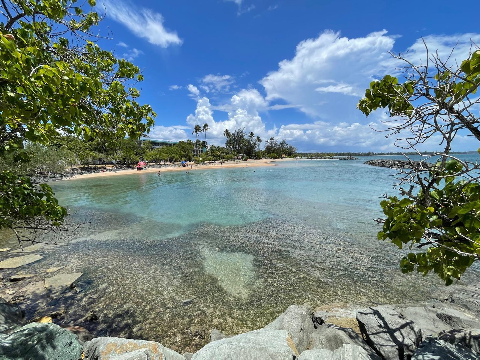 K5 Villas De Playa Ii #k5 Property Photo 3