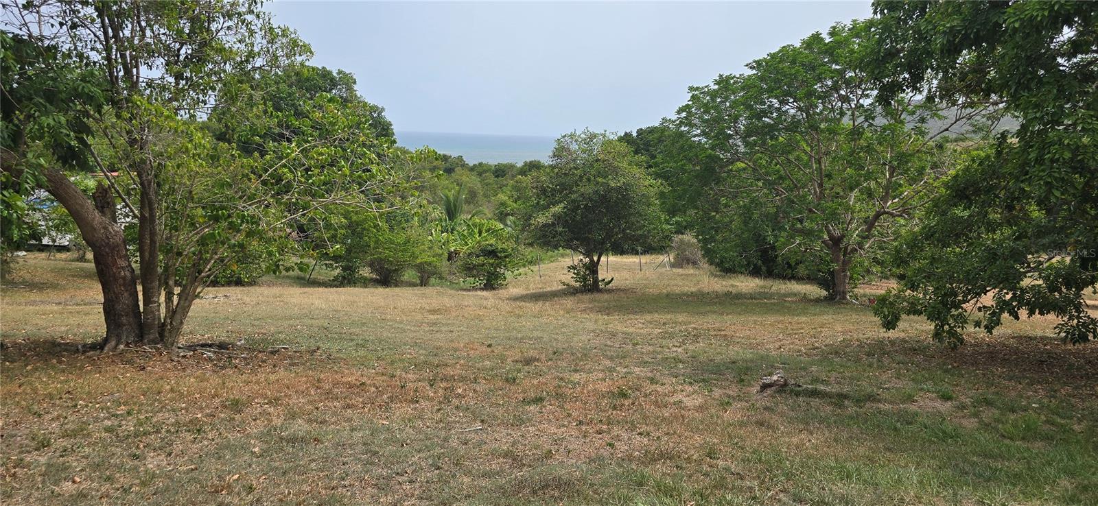 CAMINO NUEVO Property Photo 1