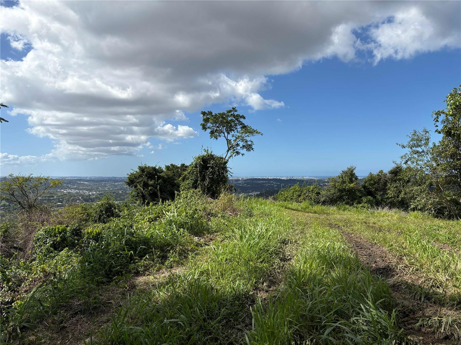 Quebrada Grande Property Photo 5