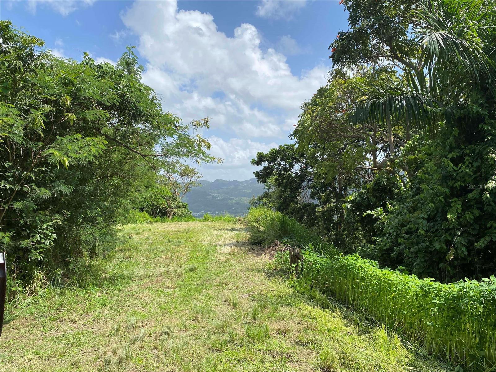 Quebrada Grande Property Photo 6