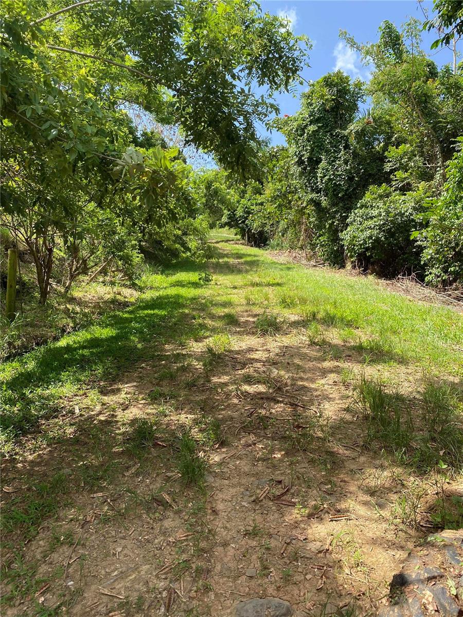 Quebrada Grande Property Photo 7