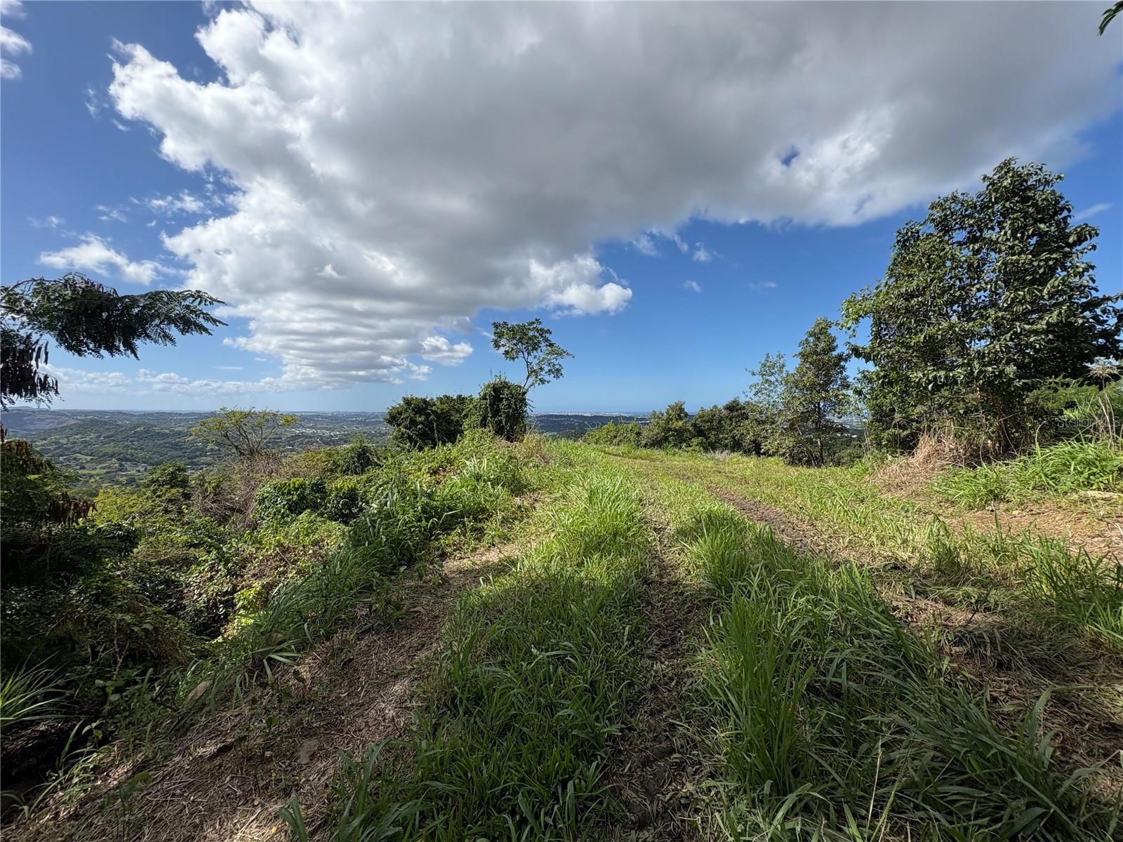 Quebrada Grande Property Photo 8