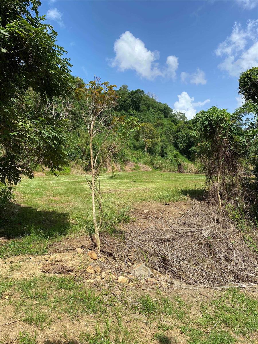 Quebrada Grande Property Photo 9