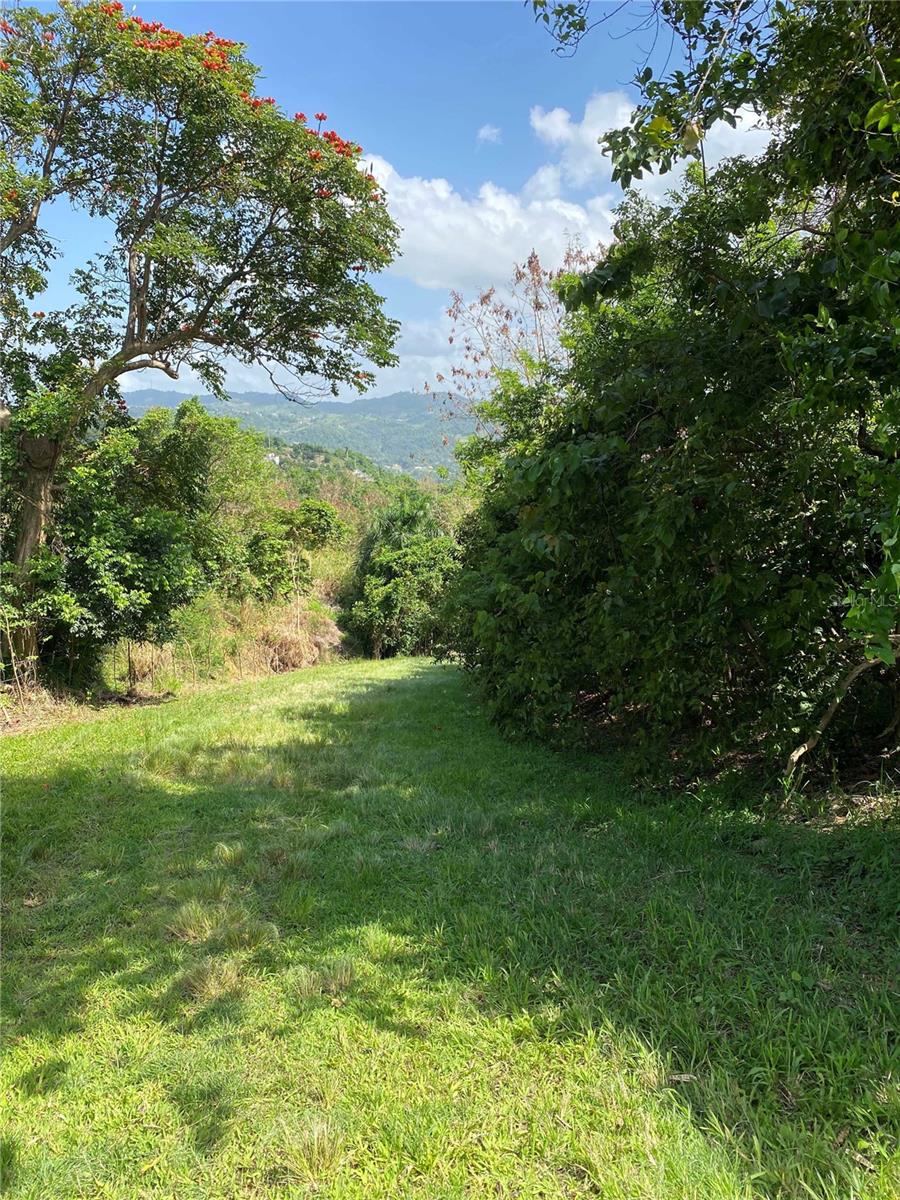 Quebrada Grande Property Photo 10