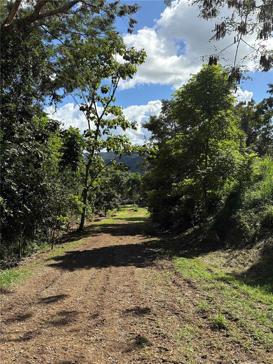 Quebrada Grande Property Photo 11