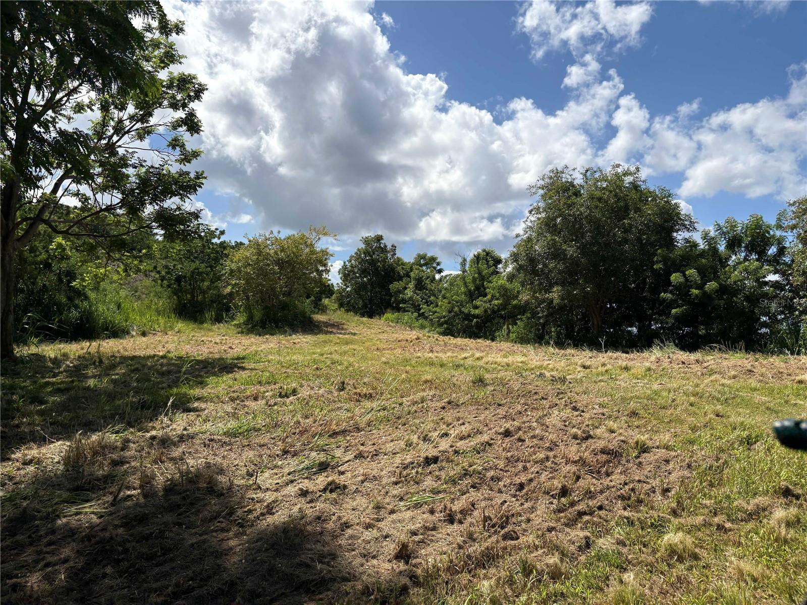 Quebrada Grande Property Photo 13
