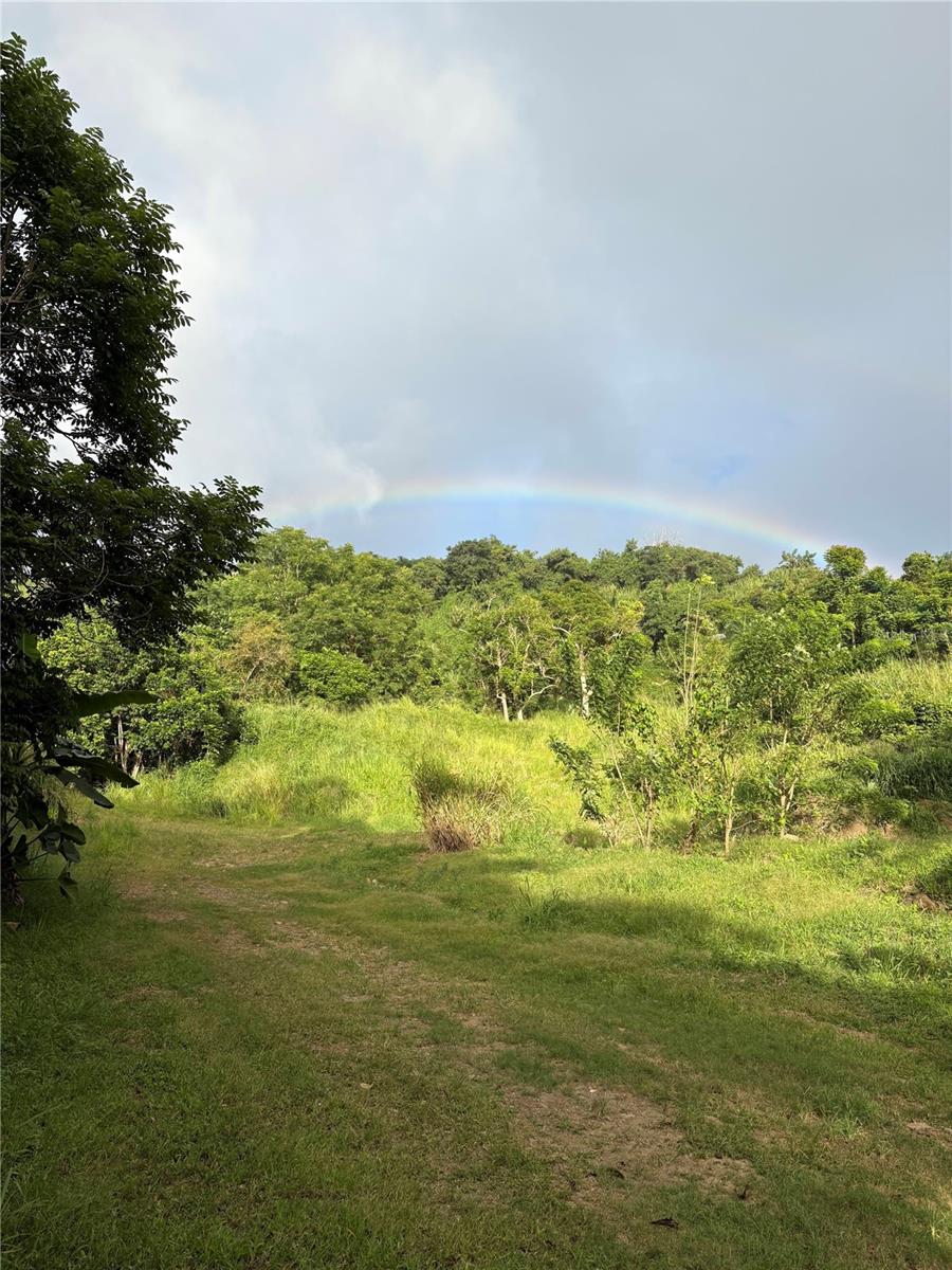 Quebrada Grande Property Photo 14