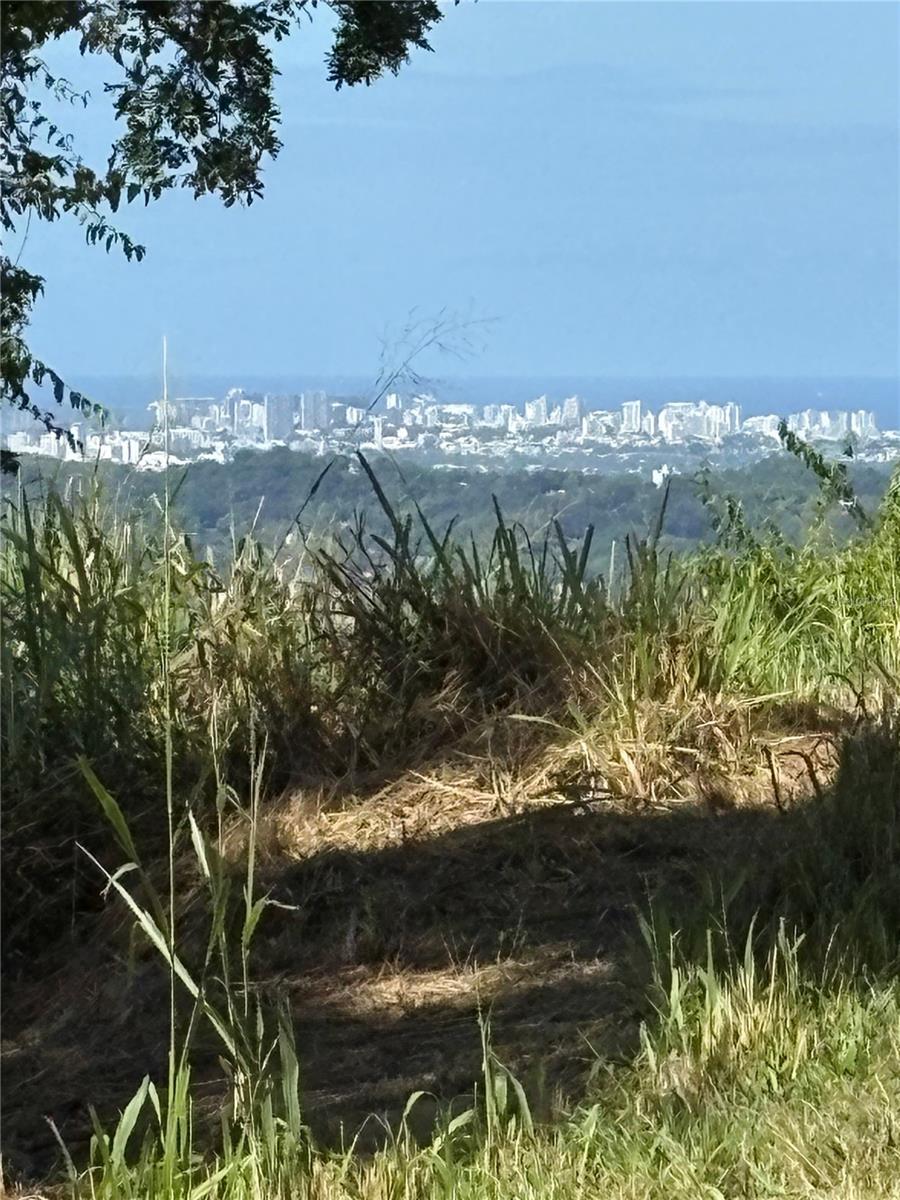 Quebrada Grande Property Photo 15
