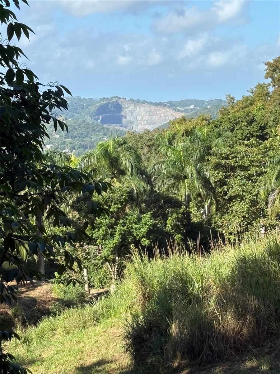 Quebrada Grande Property Photo 16