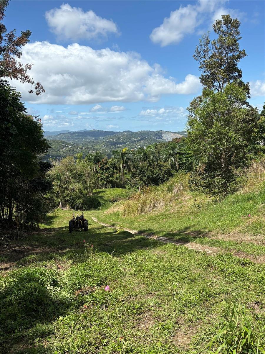 Quebrada Grande Property Photo 18