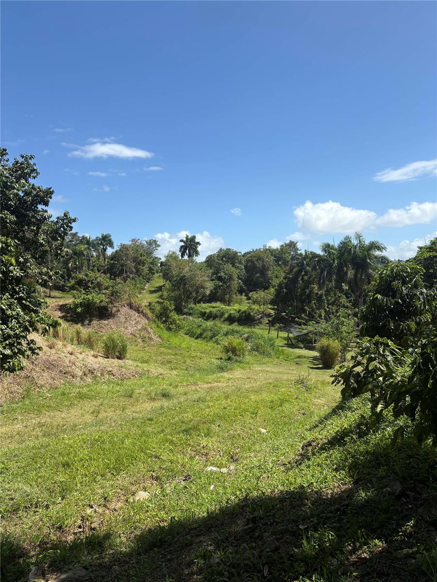 Quebrada Grande Property Photo 19