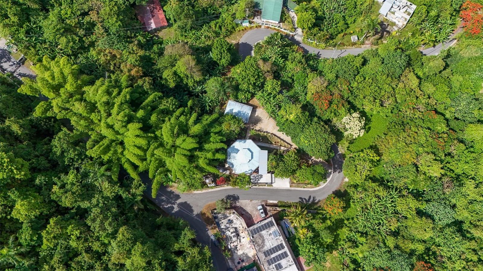 Lot 2 B Urb Villas De Monte Verde Property Photo 23