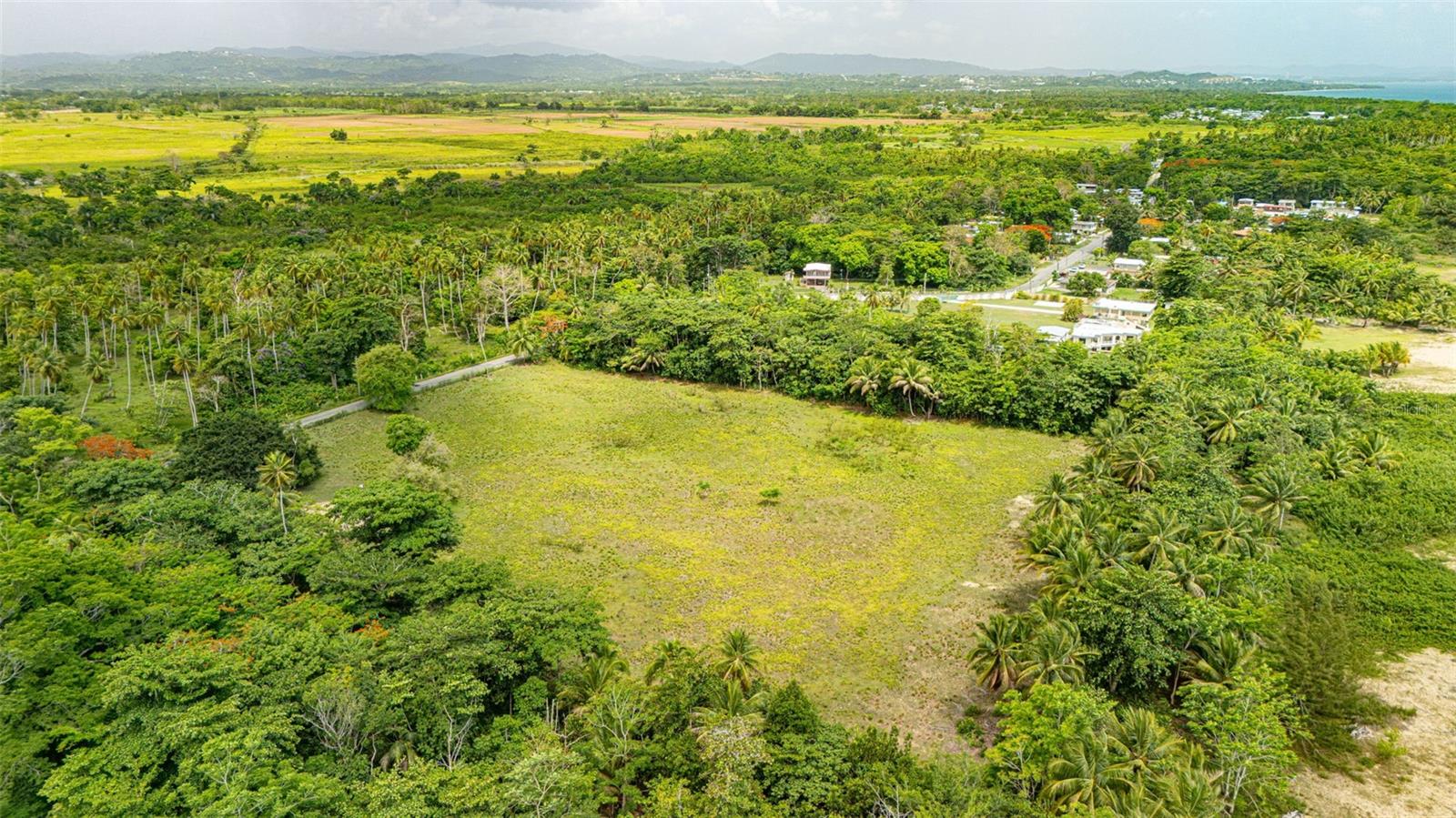 Comm. Playa, Carr. 401 Km. Hm 1.9 Property Photo 6