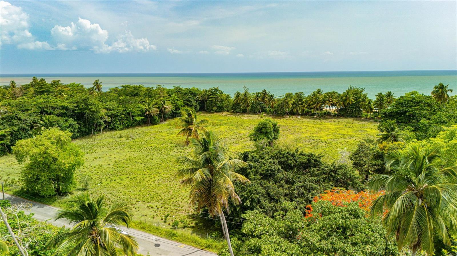 Comm. Playa, Carr. 401 Km. Hm 1.9 Property Photo 7