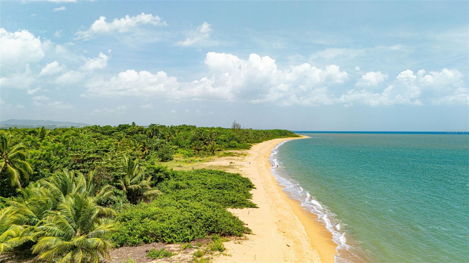 Comm. Playa, Carr. 401 Km. Hm 1.9 Property Photo 13