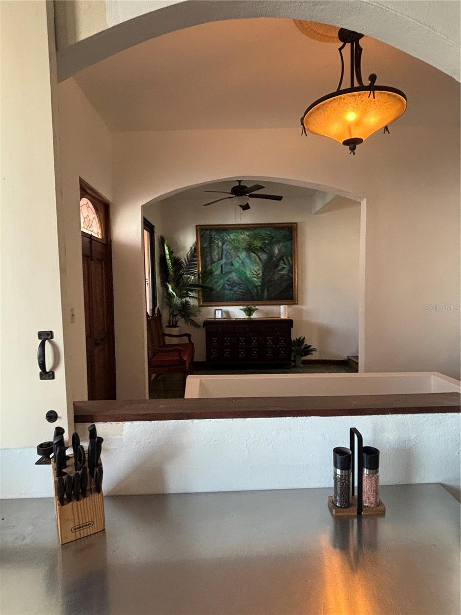 456 Calle Saldaña Property Photo 42
