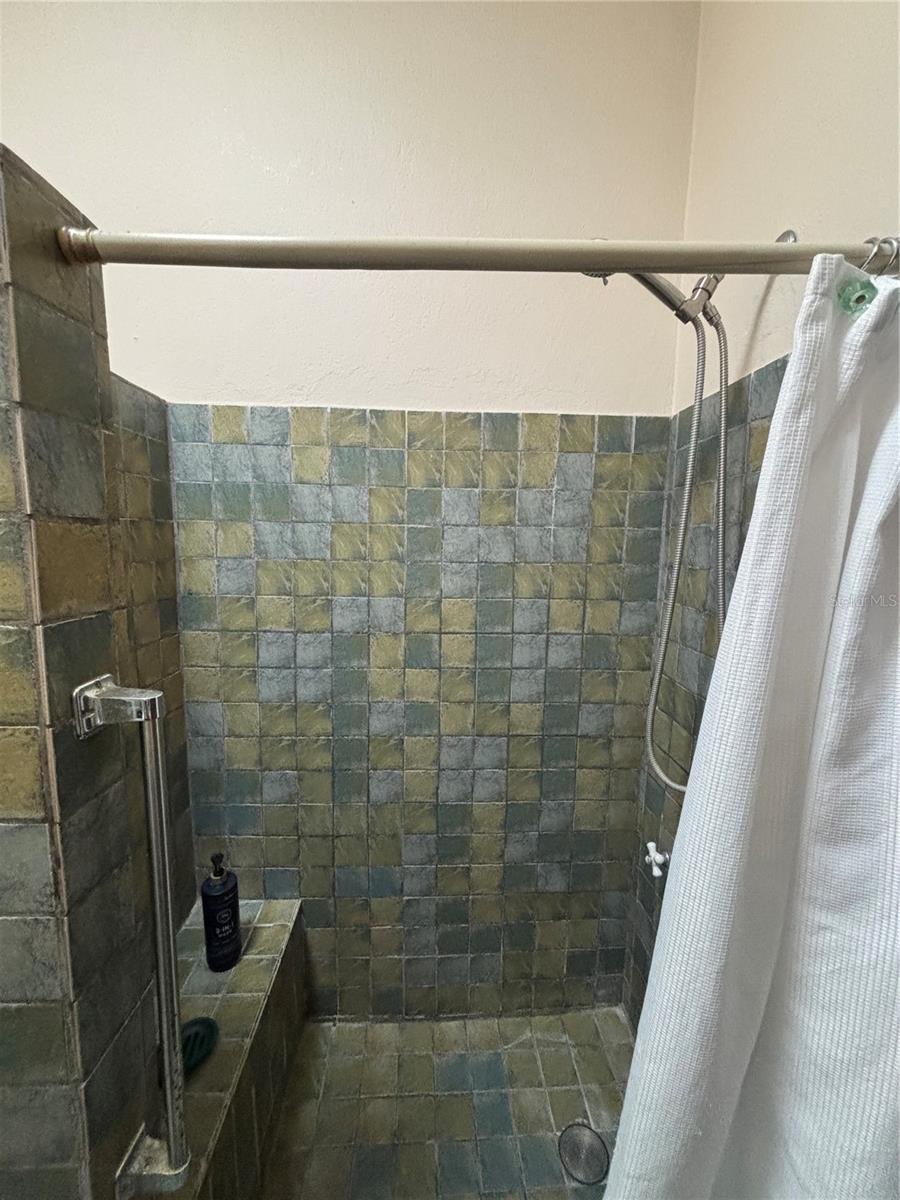 456 Calle Saldaña Property Photo 59