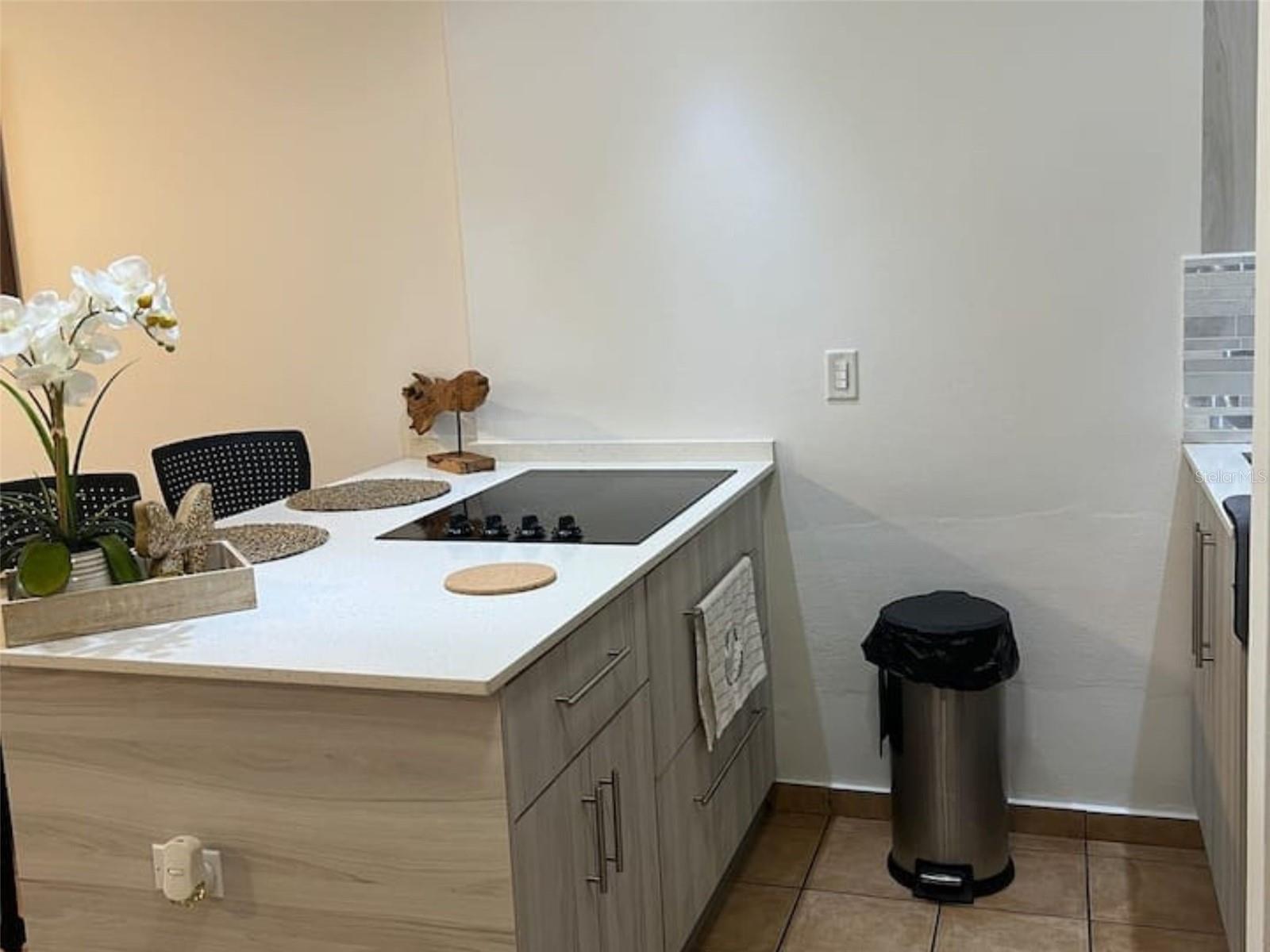 1479 Ashford Ave. Condo. Condado Del Mar #812 Property Photo 4