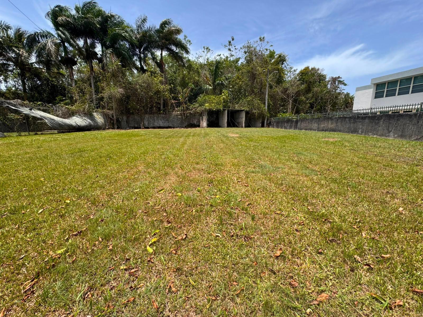 Carr 738 Km 1.4 Bo Montellano Property Photo 1