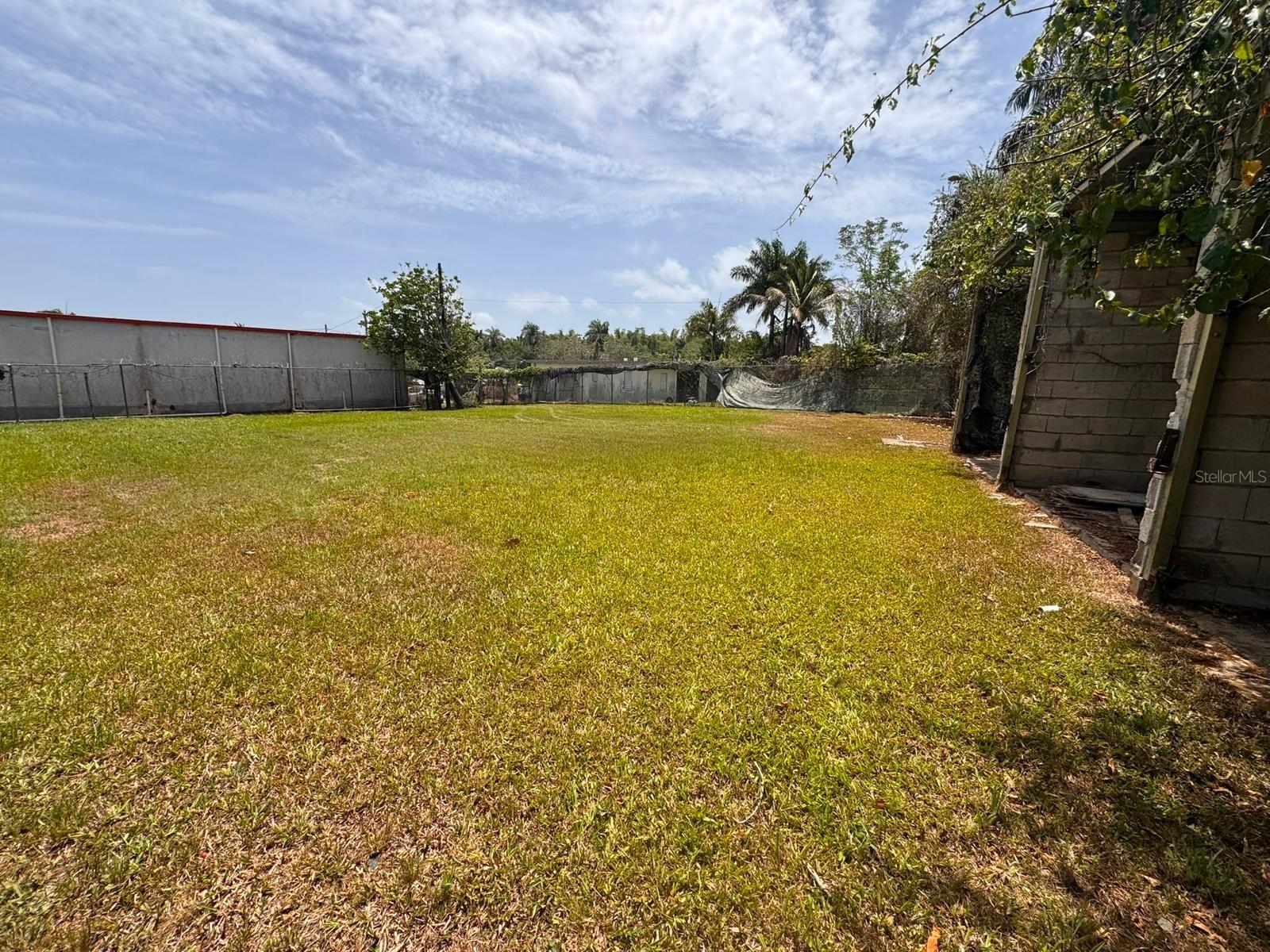 Carr 738 Km 1.4 Bo Montellano Property Photo 3