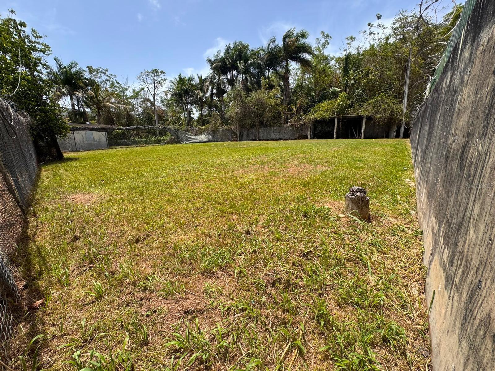 Carr 738 Km 1.4 Bo Montellano Property Photo 4