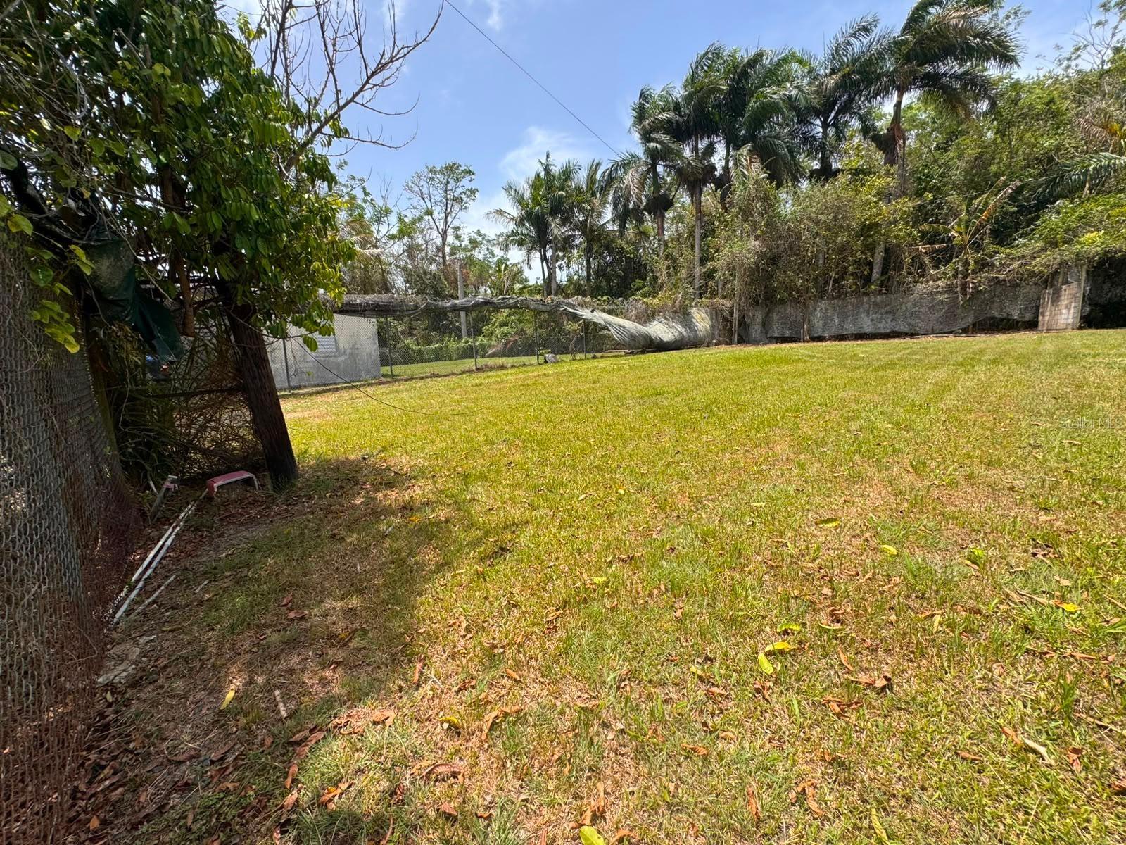 Carr 738 Km 1.4 Bo Montellano Property Photo 6