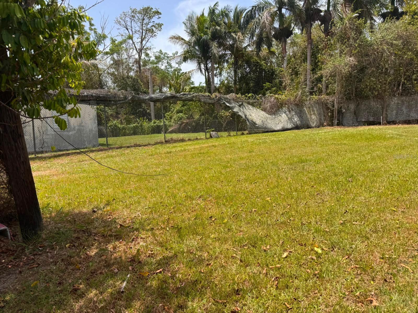 Carr 738 Km 1.4 Bo Montellano Property Photo 7