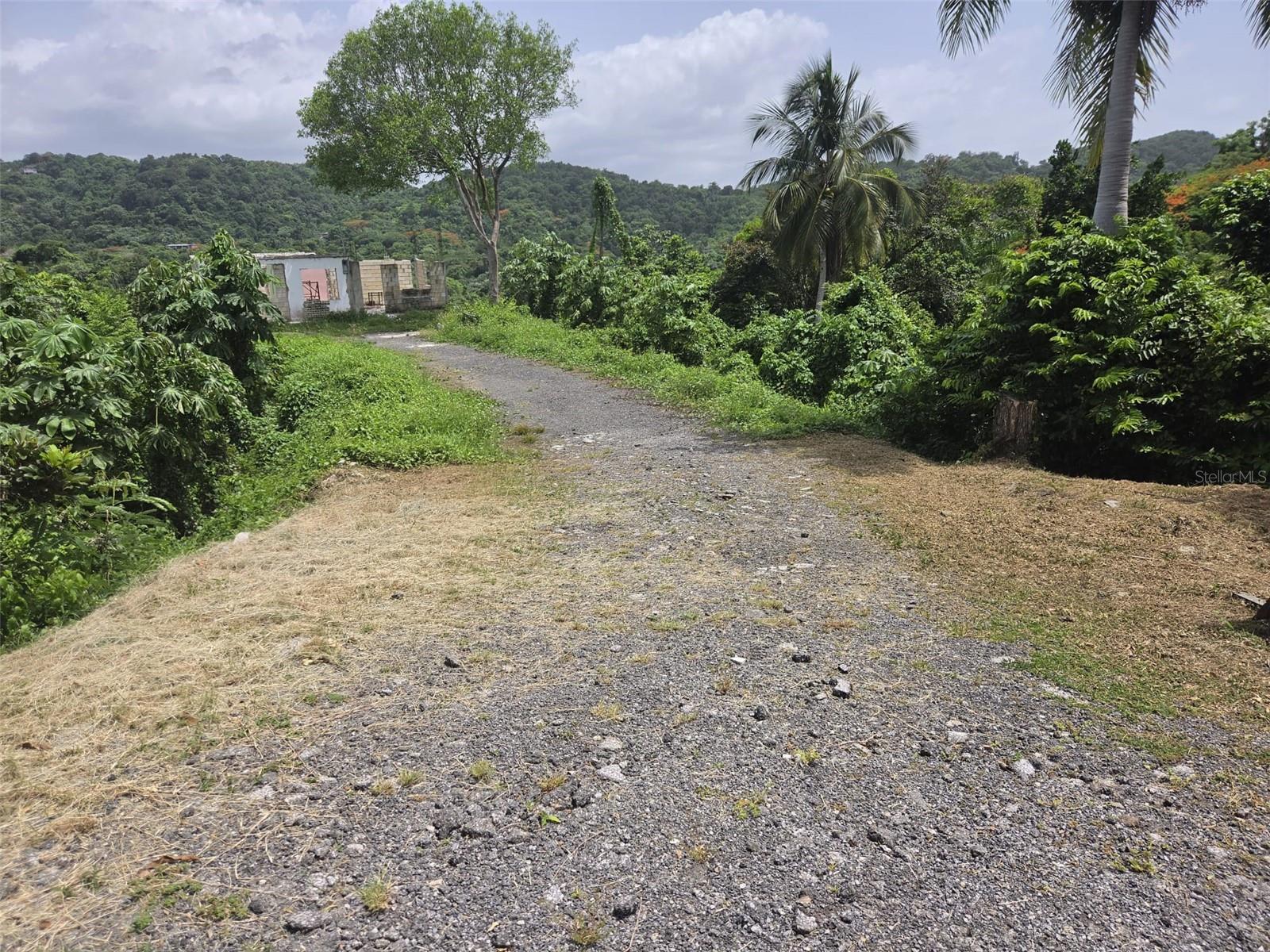 Carr. 348, Km. 5.7 Int. Bo. Malezas Property Photo 2