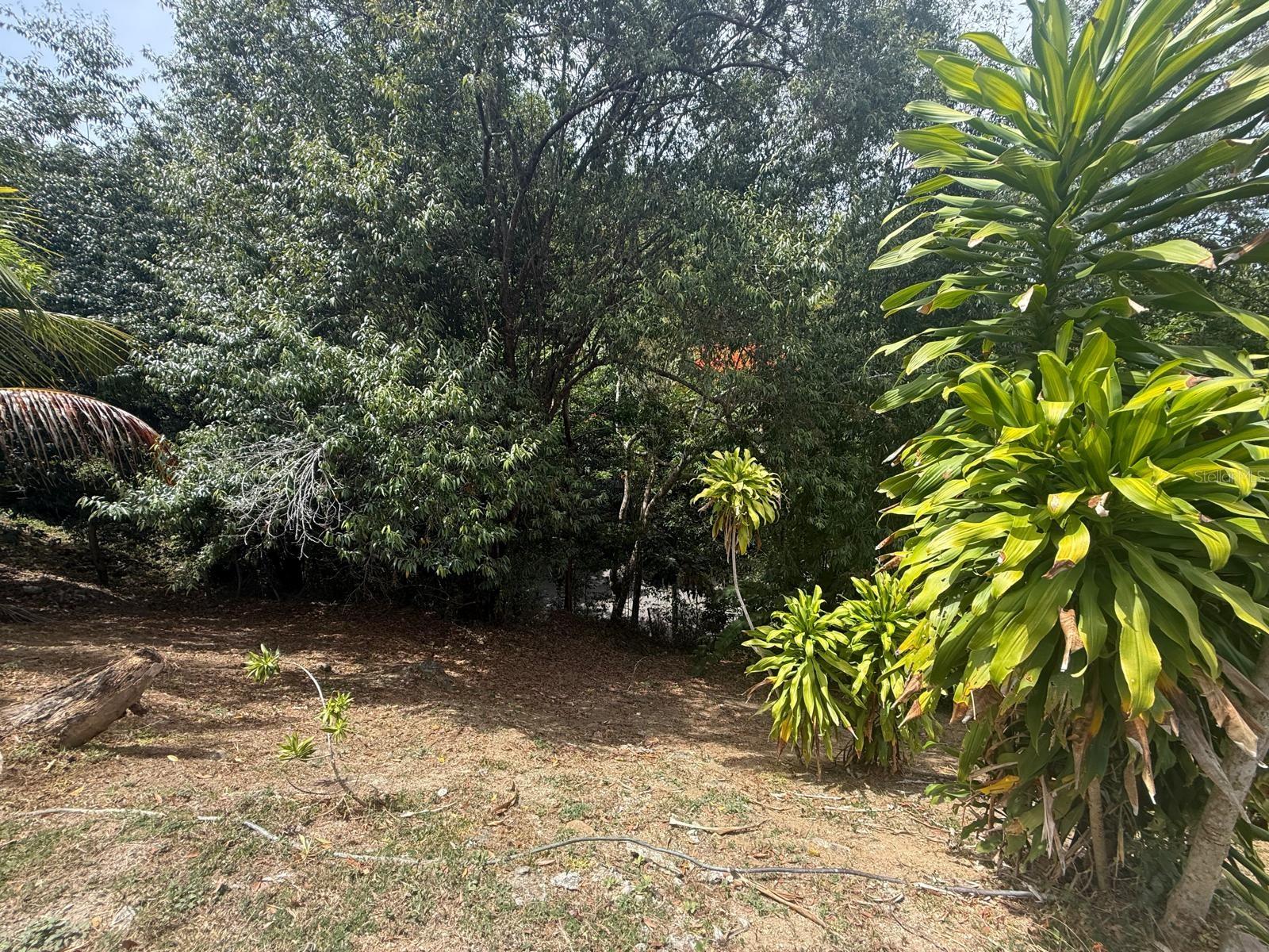 123 Carr Property Photo 10