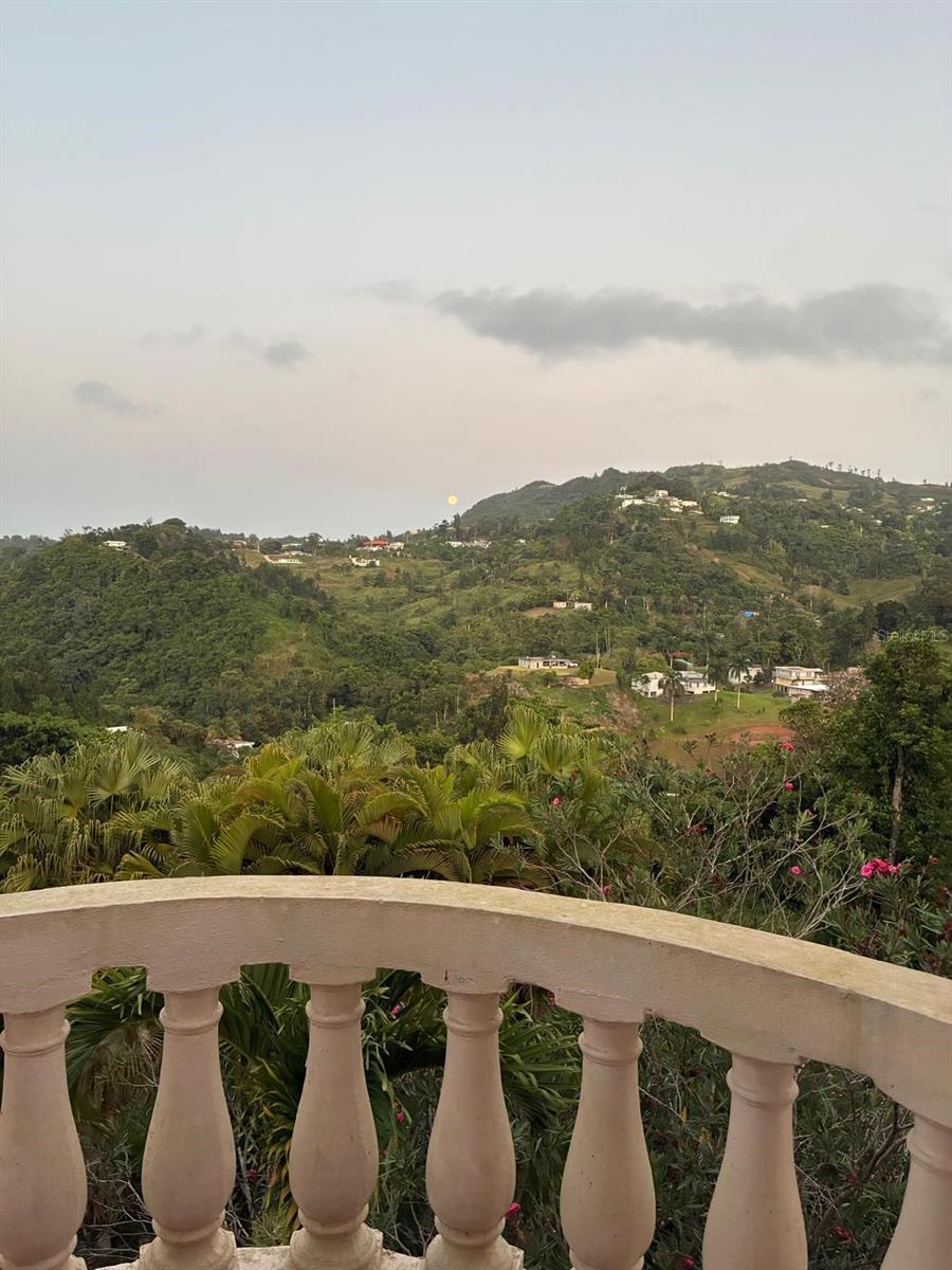 770 Route #km 2.9 Property Photo 20