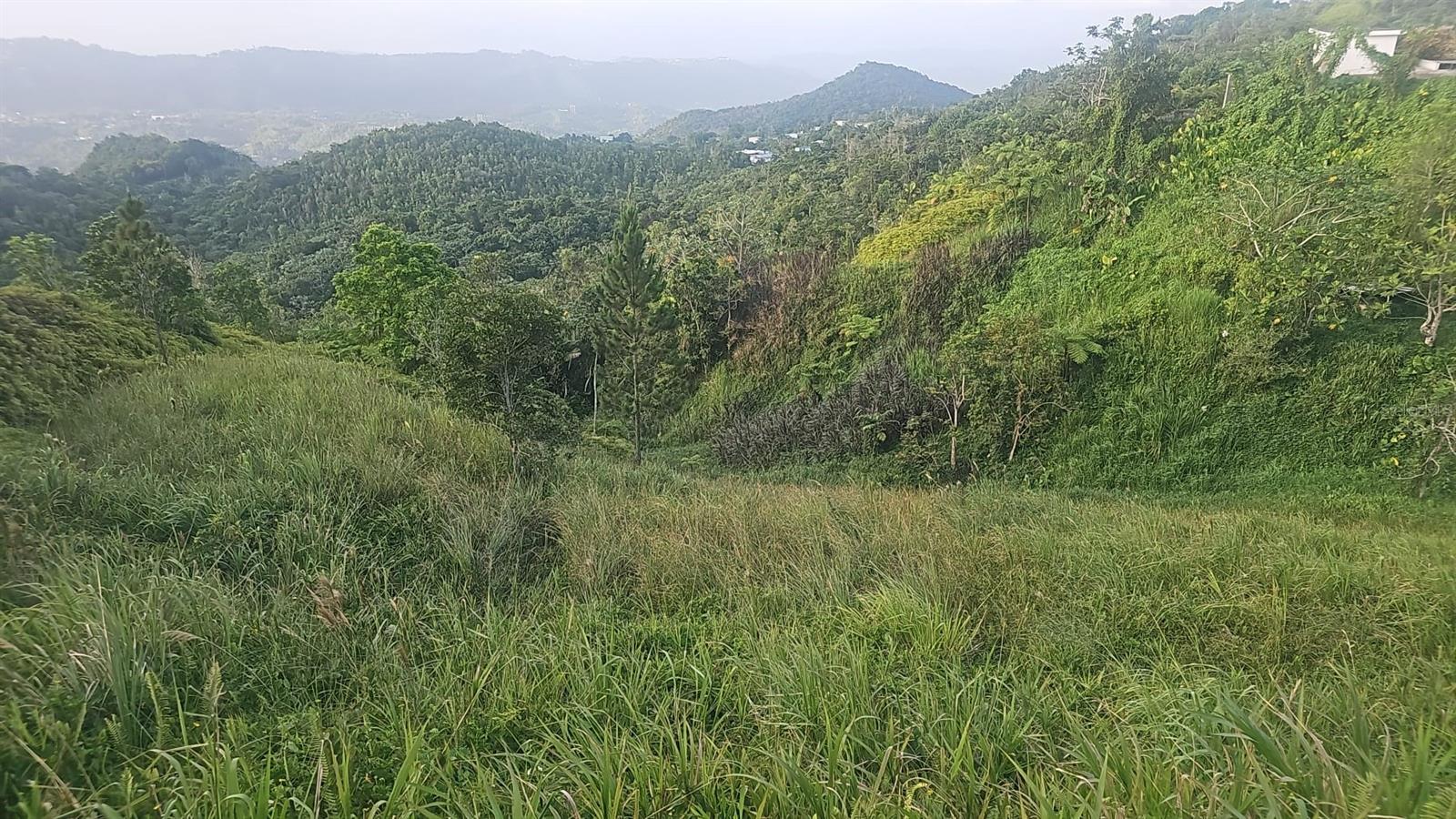 Pr 785 Km 5.0 Property Photo 19