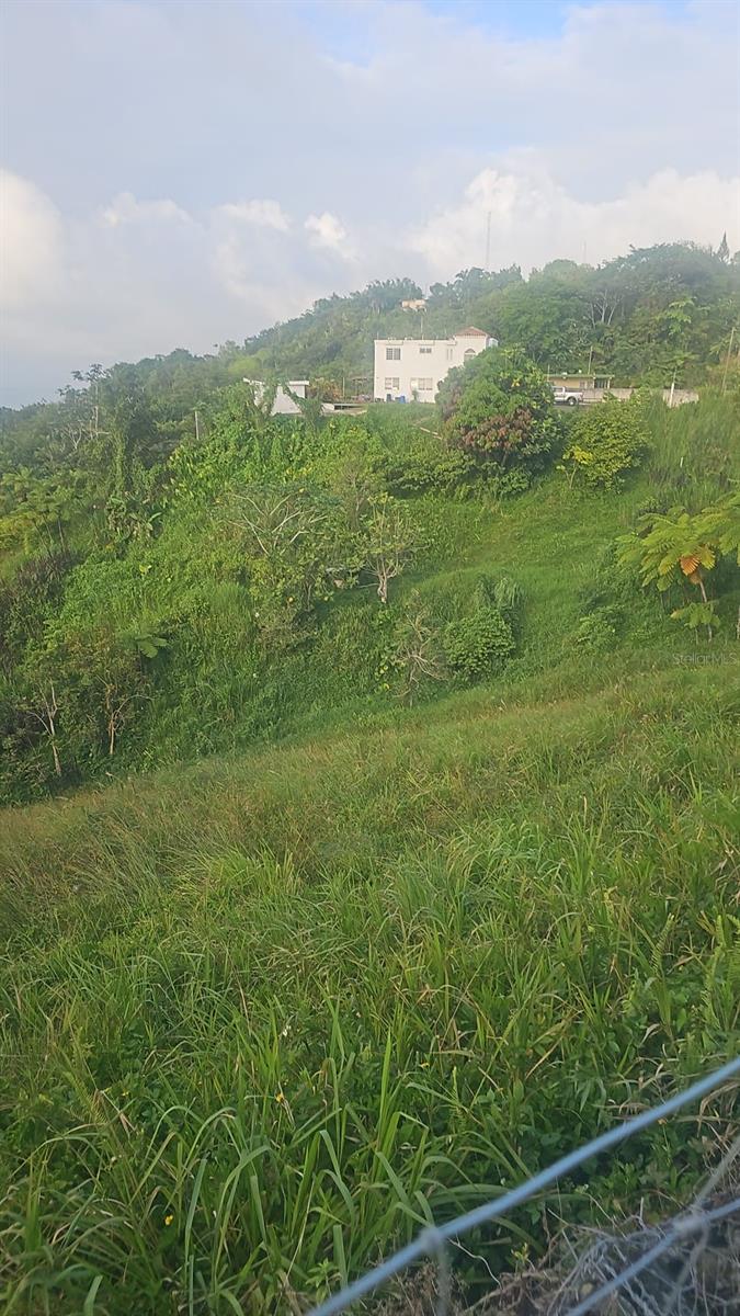 Pr 785 Km 5.0 Property Photo 26