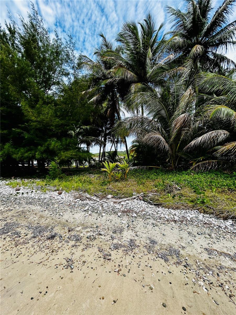 Km 115.8 Pr-3 Guardarrayas Property Photo 15
