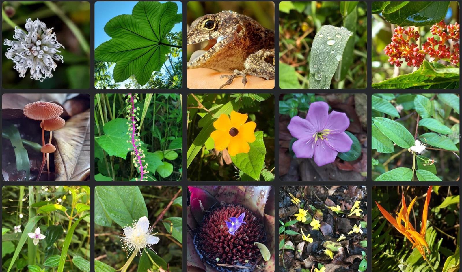 Bo. Fronton Carr 146 Km 18.6 Property Photo 15
