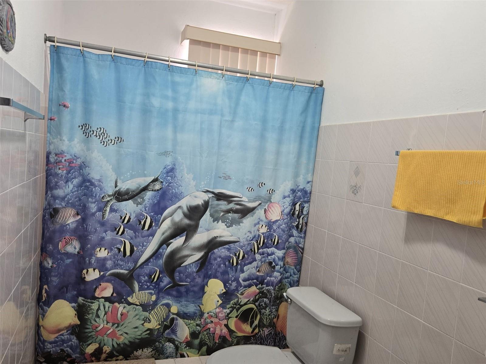 43 Villa Pesquera #43 Property Photo 29