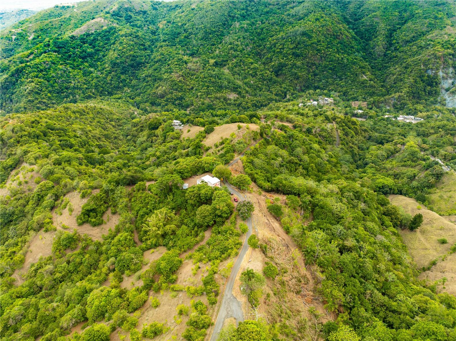 Tabonuco Ward Sr 365 Km 6.4 Int Property Photo 1