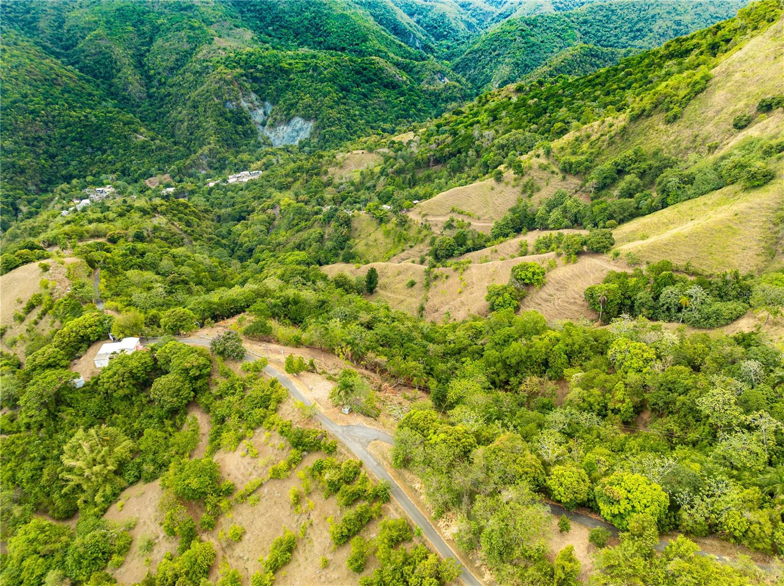 Sr 365 Km 6.4 Int Tabonuco Ward Property Photo 21