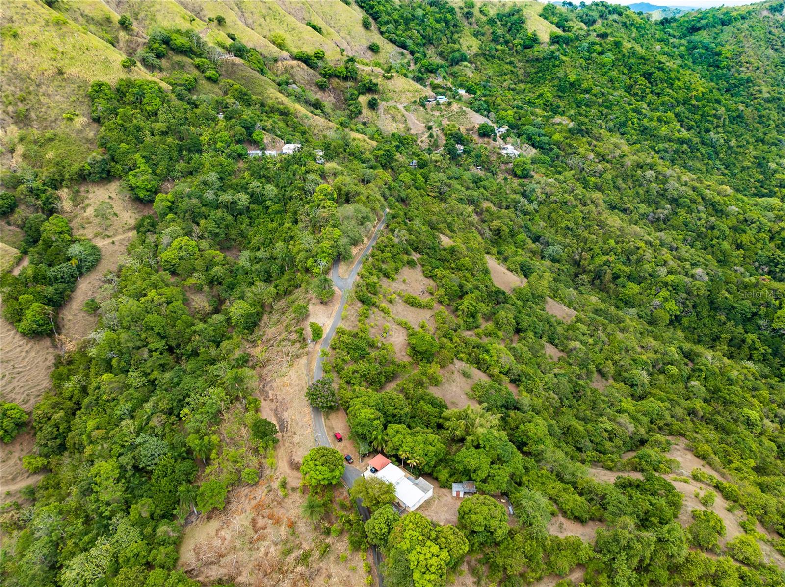 Sr 365 Km 6.4 Int Tabonuco Ward Property Photo 22