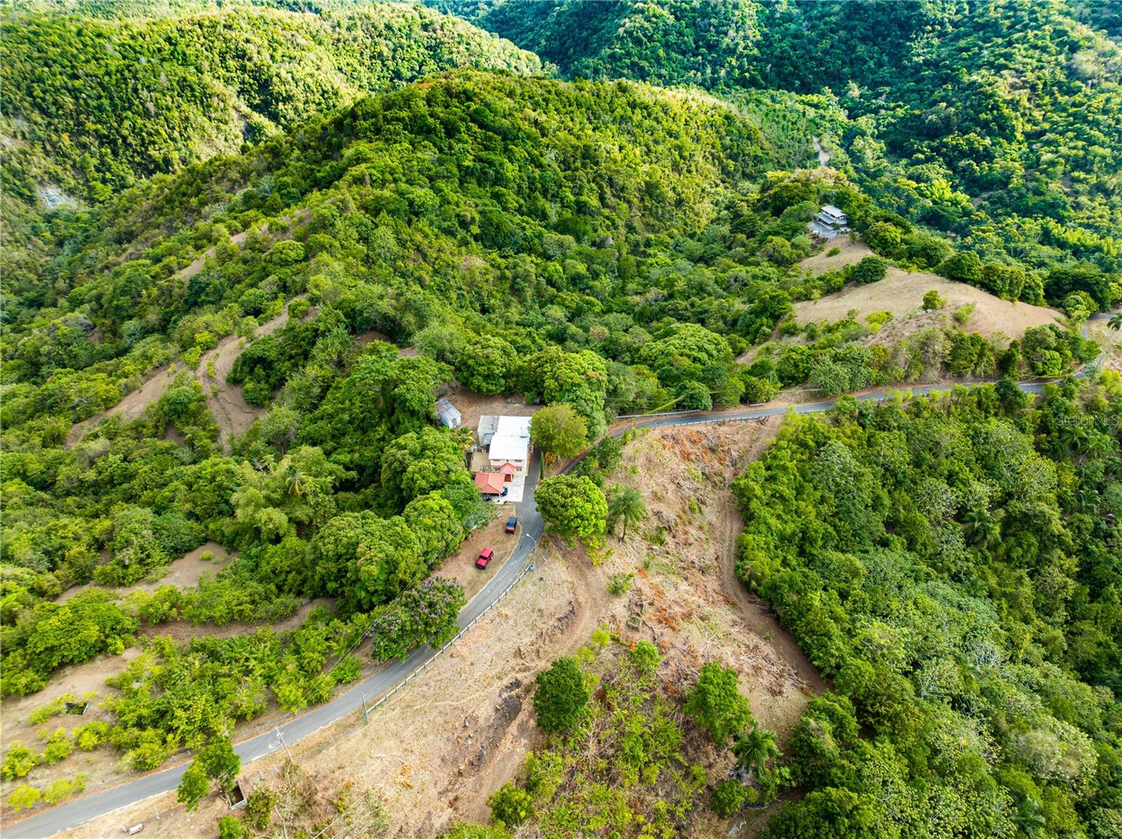 Sr 365 Km 6.4 Int Tabonuco Ward Property Photo 24