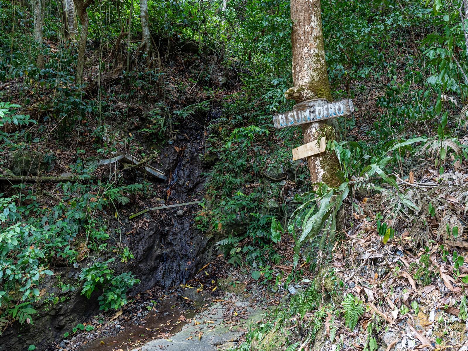 Sr 365 Km 6.4 Int Tabonuco Ward Property Photo 29
