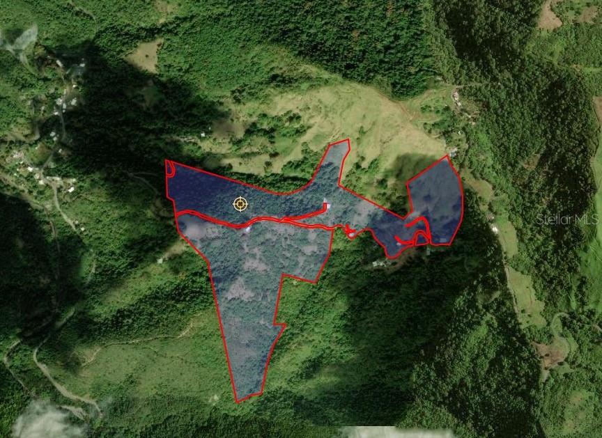 Sr 365 Km 6.4 Int Tabonuco Ward Property Photo 30