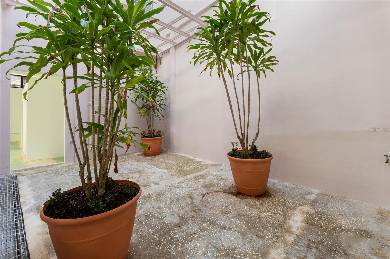 53 Ramon Emeterio Betances Property Photo 63