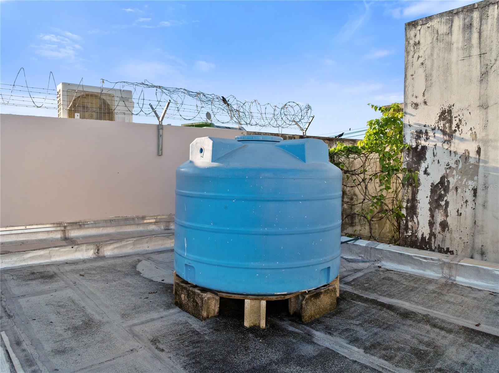 53 Ramon Emeterio Betances Property Photo 72