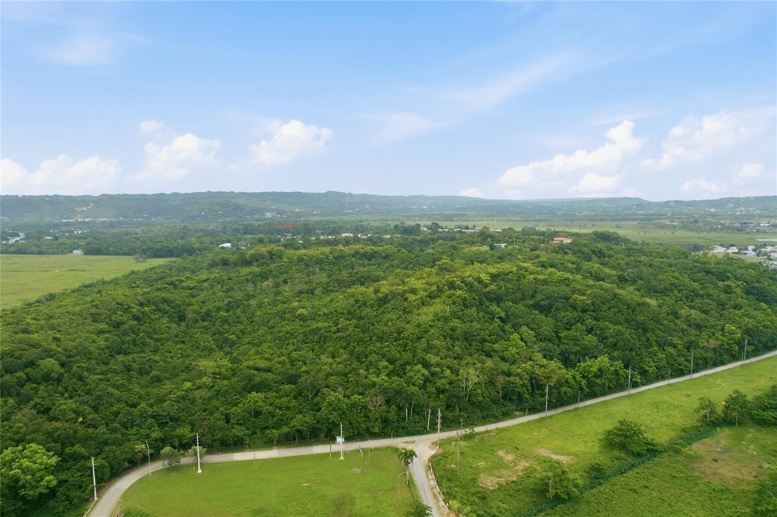 Carr 115, Km 25.000 Bo. Asomante Property Photo 12