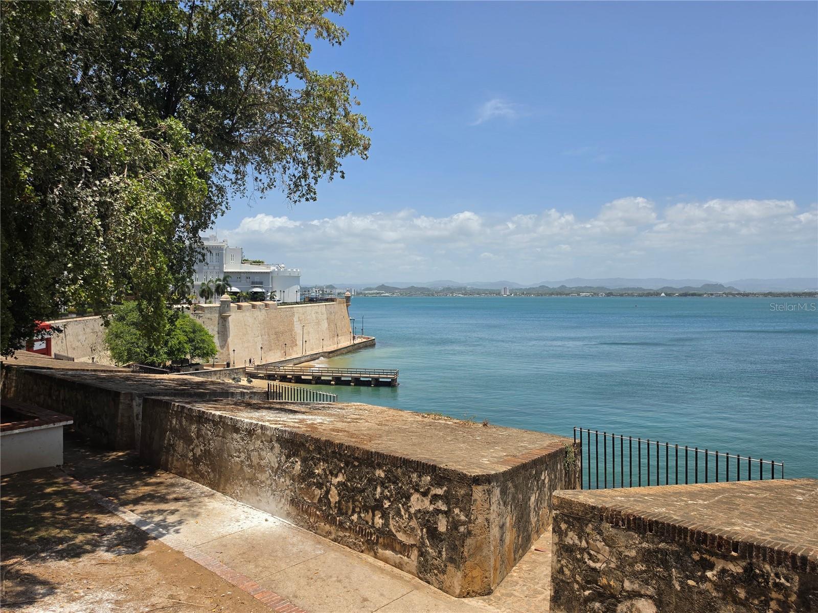 258 Luna Property Photo 22